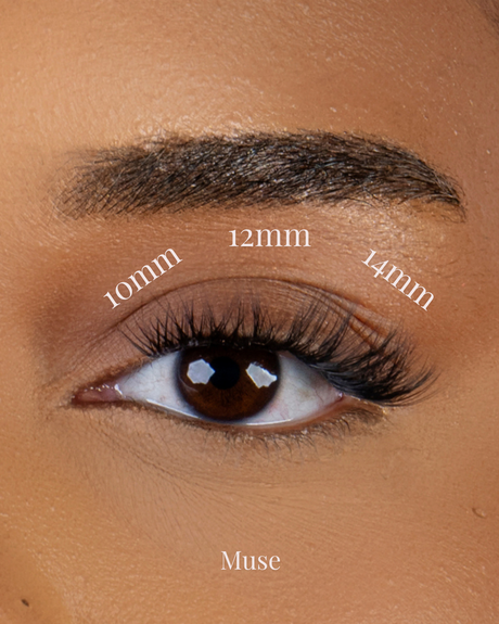 Cils Muse