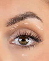 Cils Muse