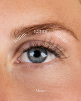 Cils Muse