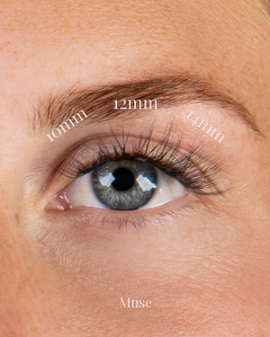 Cils Muse
